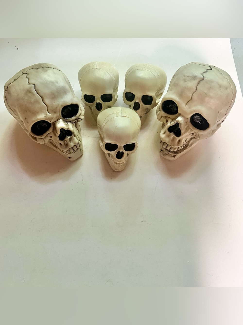 Skull Halloween Prop decor lot spooky decorations